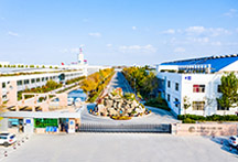 3522浦京集团vip