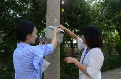 创建全国文明城市 3522浦京集团vip人在行动