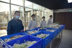 战疫故事:把菜市场搬进食堂 解决员工后顾之忧
